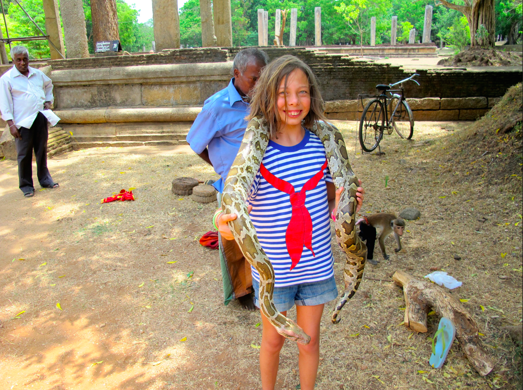 LA PLANETE DES SINGES LA PLANETE DES SINGES