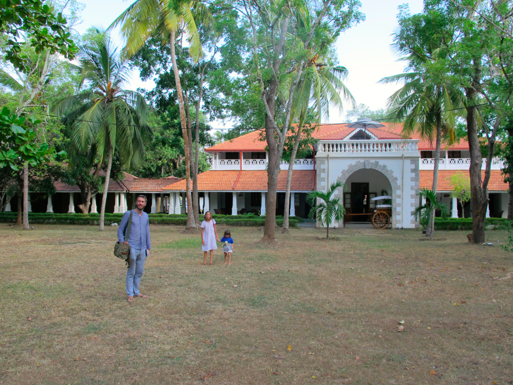 LA PLANETE DES SINGES LA PLANETE DES SINGES