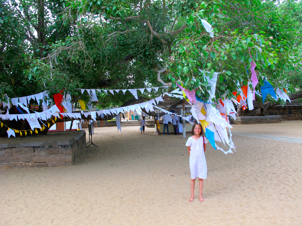 LA PLANETE DES SINGES LA PLANETE DES SINGES