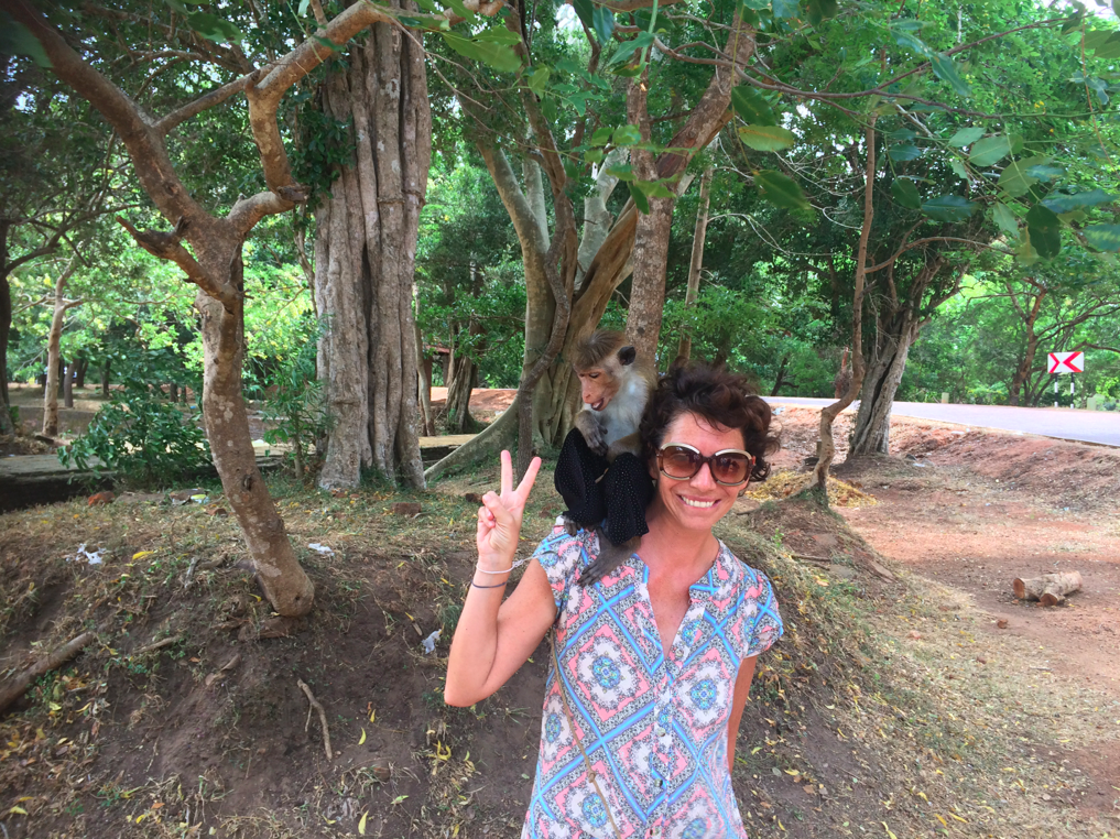 LA PLANETE DES SINGES LA PLANETE DES SINGES