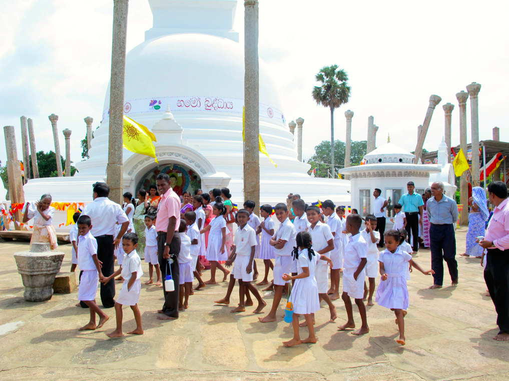 LA PLANETE DES SINGES LA PLANETE DES SINGES