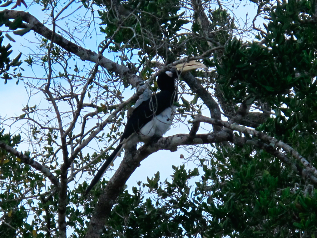 UN SAFARI LUNAIRE UN SAFARI LUNAIRE