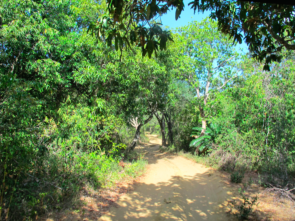 UN SAFARI LUNAIRE UN SAFARI LUNAIRE
