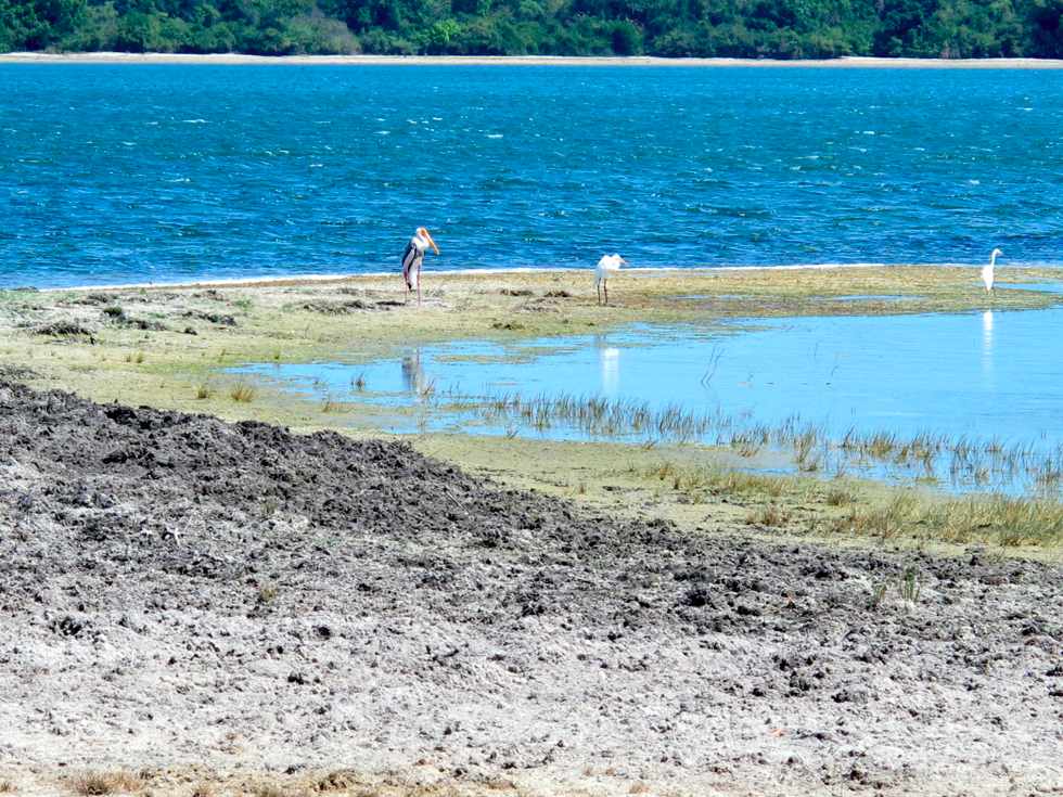 UN SAFARI LUNAIRE UN SAFARI LUNAIRE