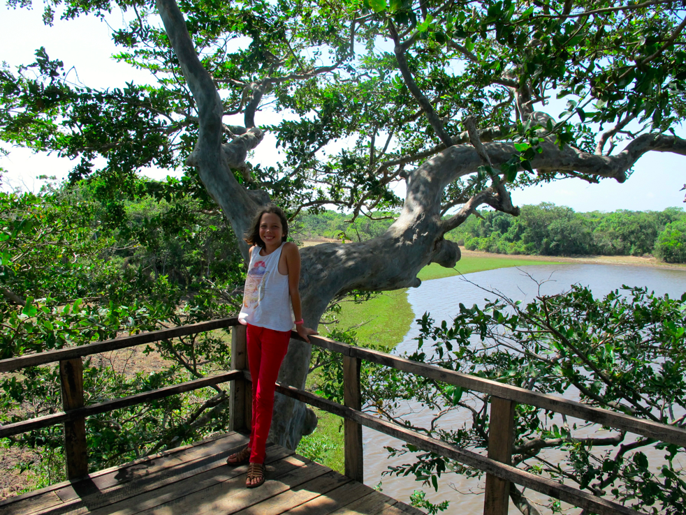 UN SAFARI LUNAIRE UN SAFARI LUNAIRE