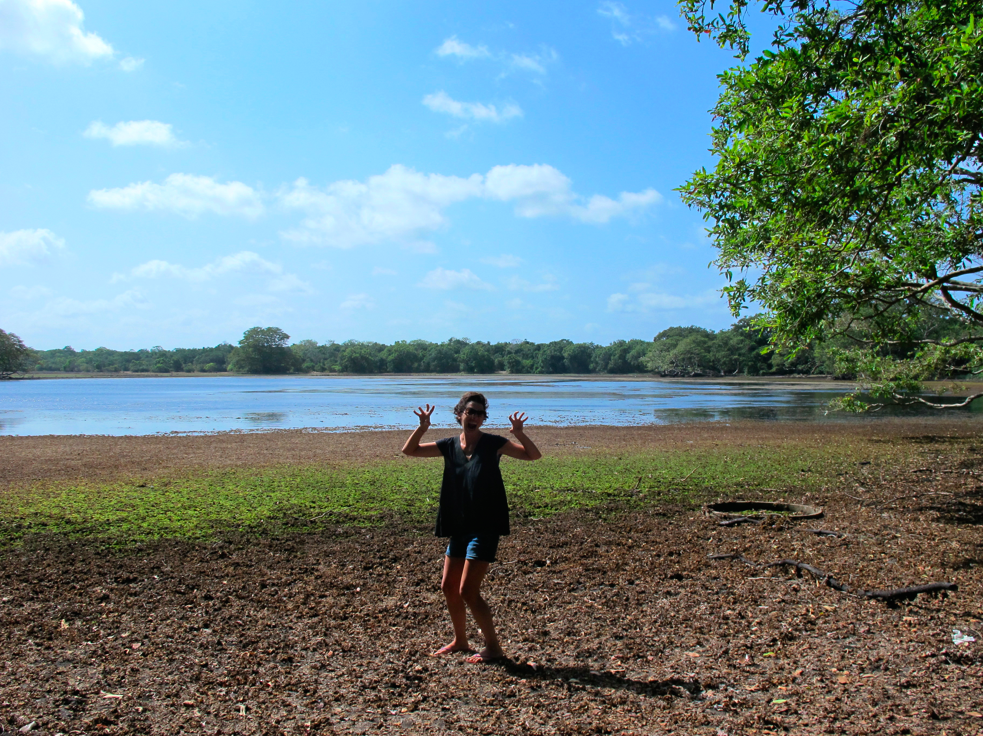 UN SAFARI LUNAIRE UN SAFARI LUNAIRE