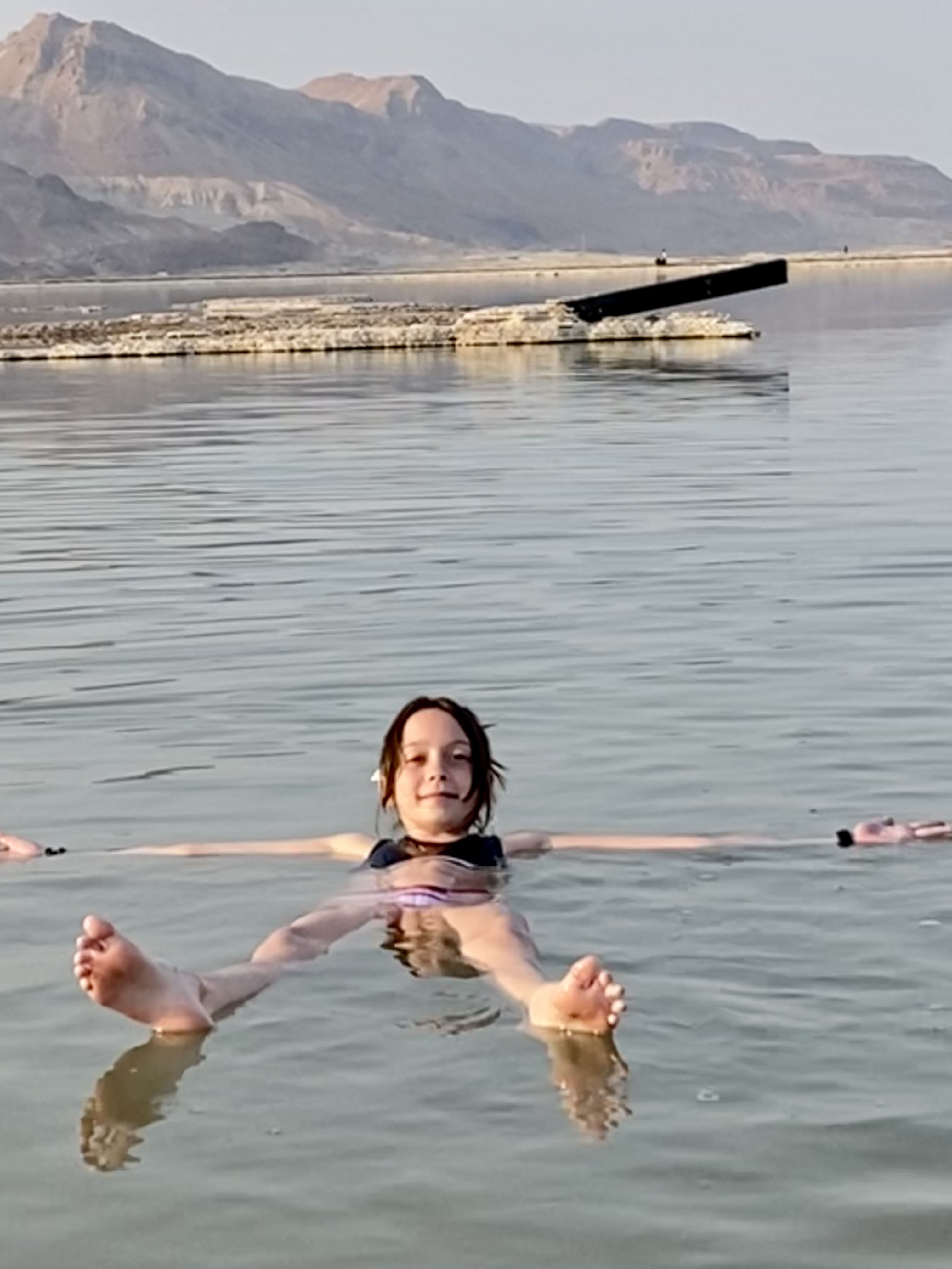 Les animaux 🐊🦙et La Mer Morte 🌊🧂 Les animaux 🐊🦙et La Mer Morte 🌊🧂