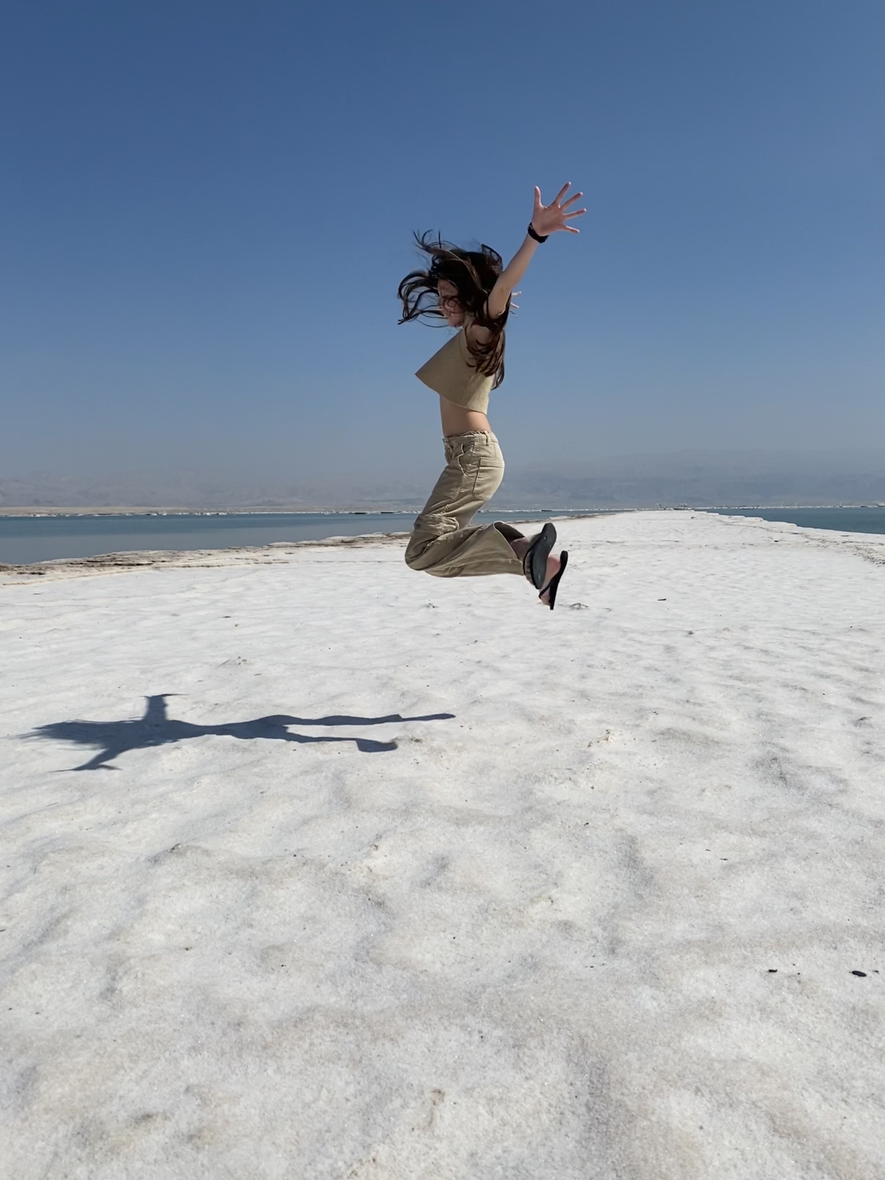 Les animaux 🐊🦙et La Mer Morte 🌊🧂 Les animaux 🐊🦙et La Mer Morte 🌊🧂