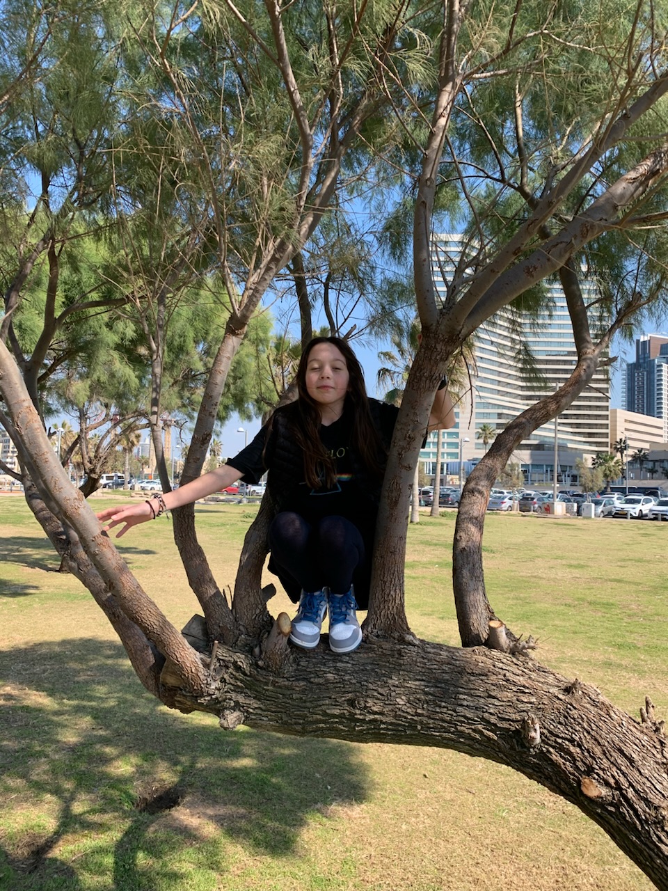 Les animaux 🐊🦙et La Mer Morte 🌊🧂 Les animaux 🐊🦙et La Mer Morte 🌊🧂