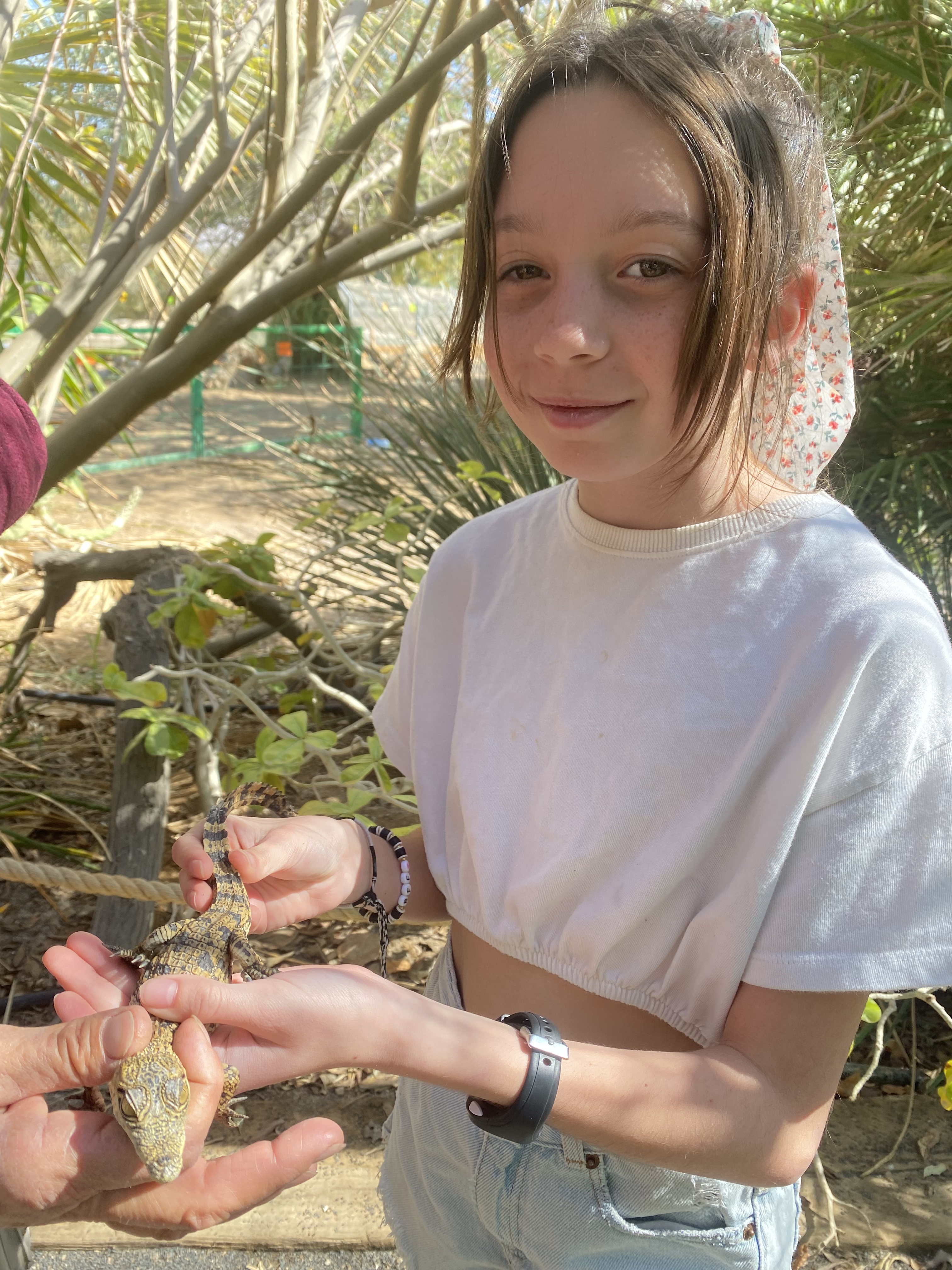 Les animaux 🐊🦙et La Mer Morte 🌊🧂 Les animaux 🐊🦙et La Mer Morte 🌊🧂