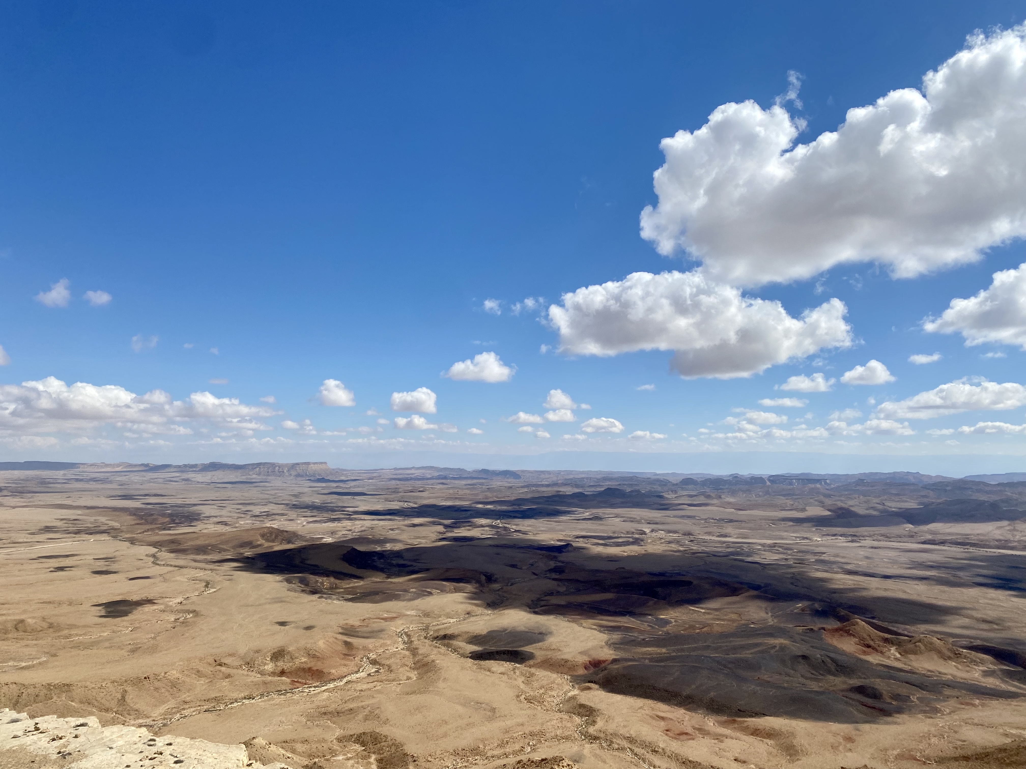 Les dieux sont tombés sur la tête ! Les dieux sont tombés sur la tête !