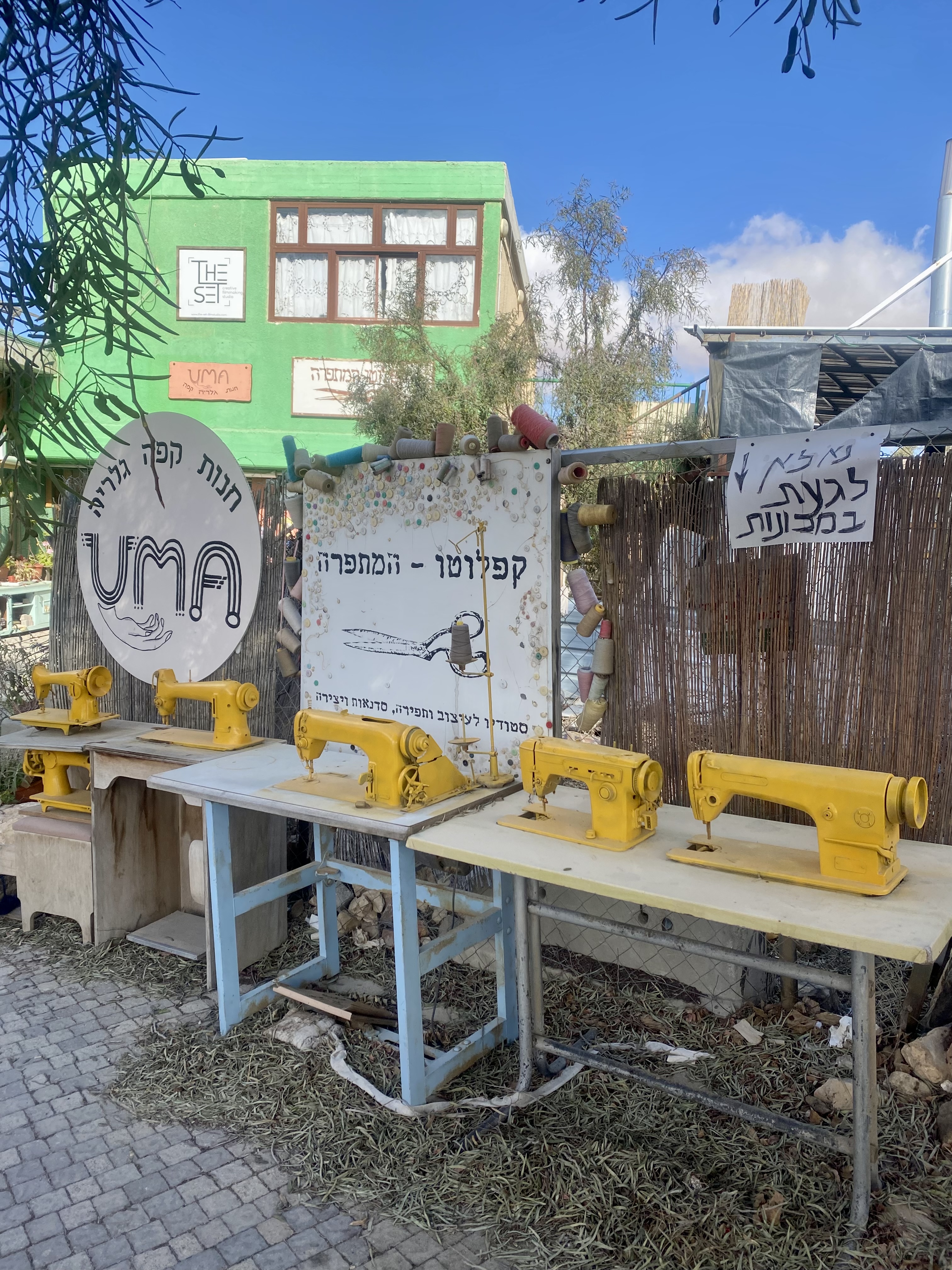 Les dieux sont tombés sur la tête ! Les dieux sont tombés sur la tête !