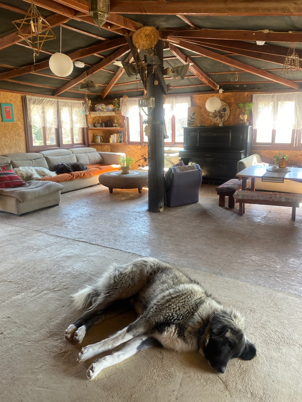 Les dieux sont tombés sur la tête ! Les dieux sont tombés sur la tête !