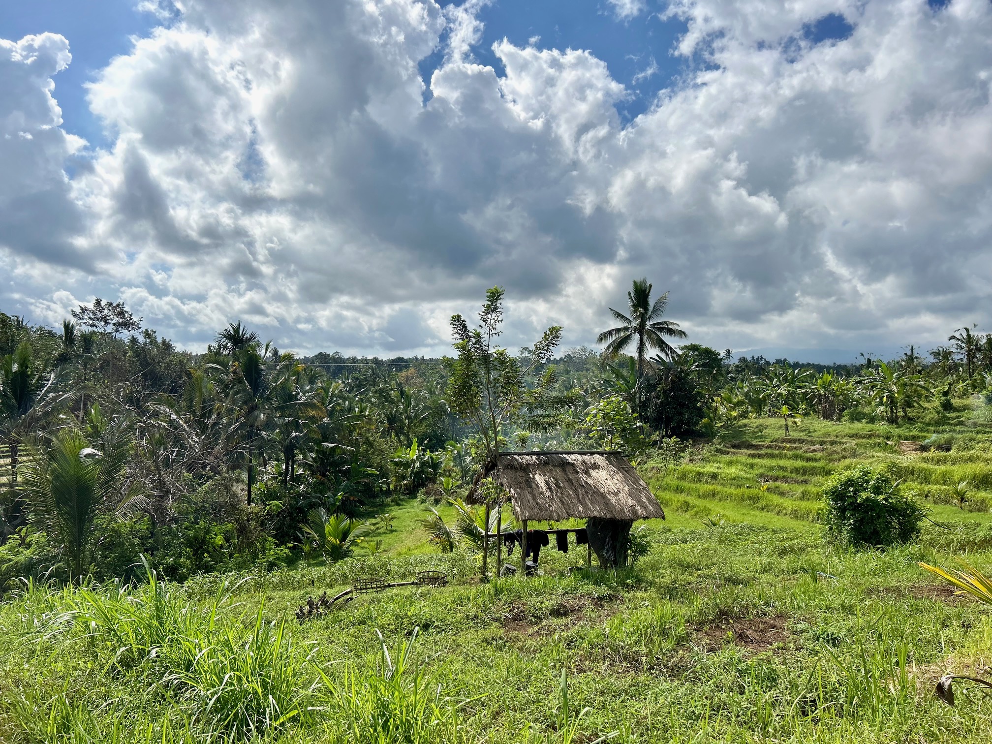 Les îles du bout du monde