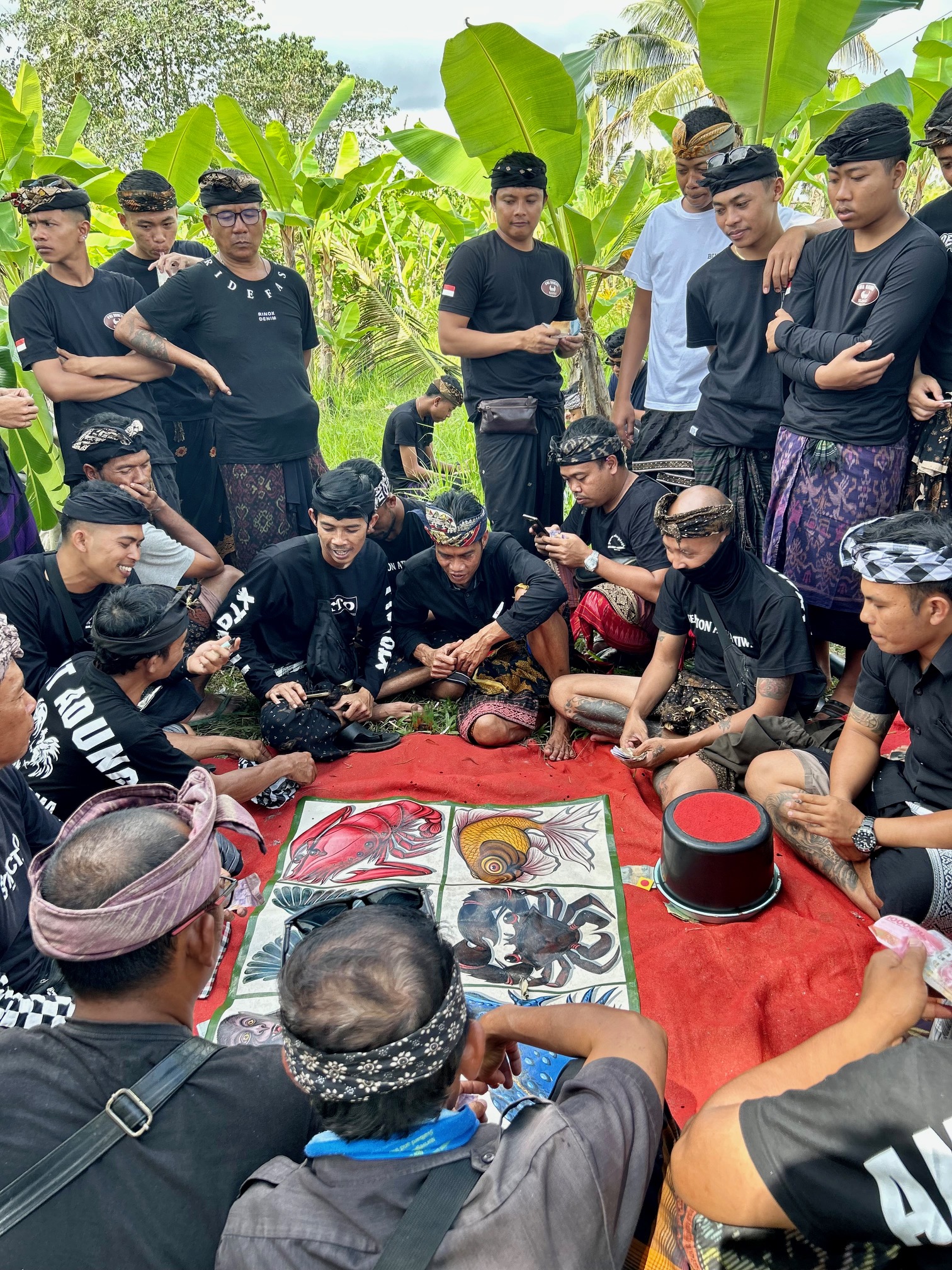 Les îles du bout du monde Les îles du bout du monde