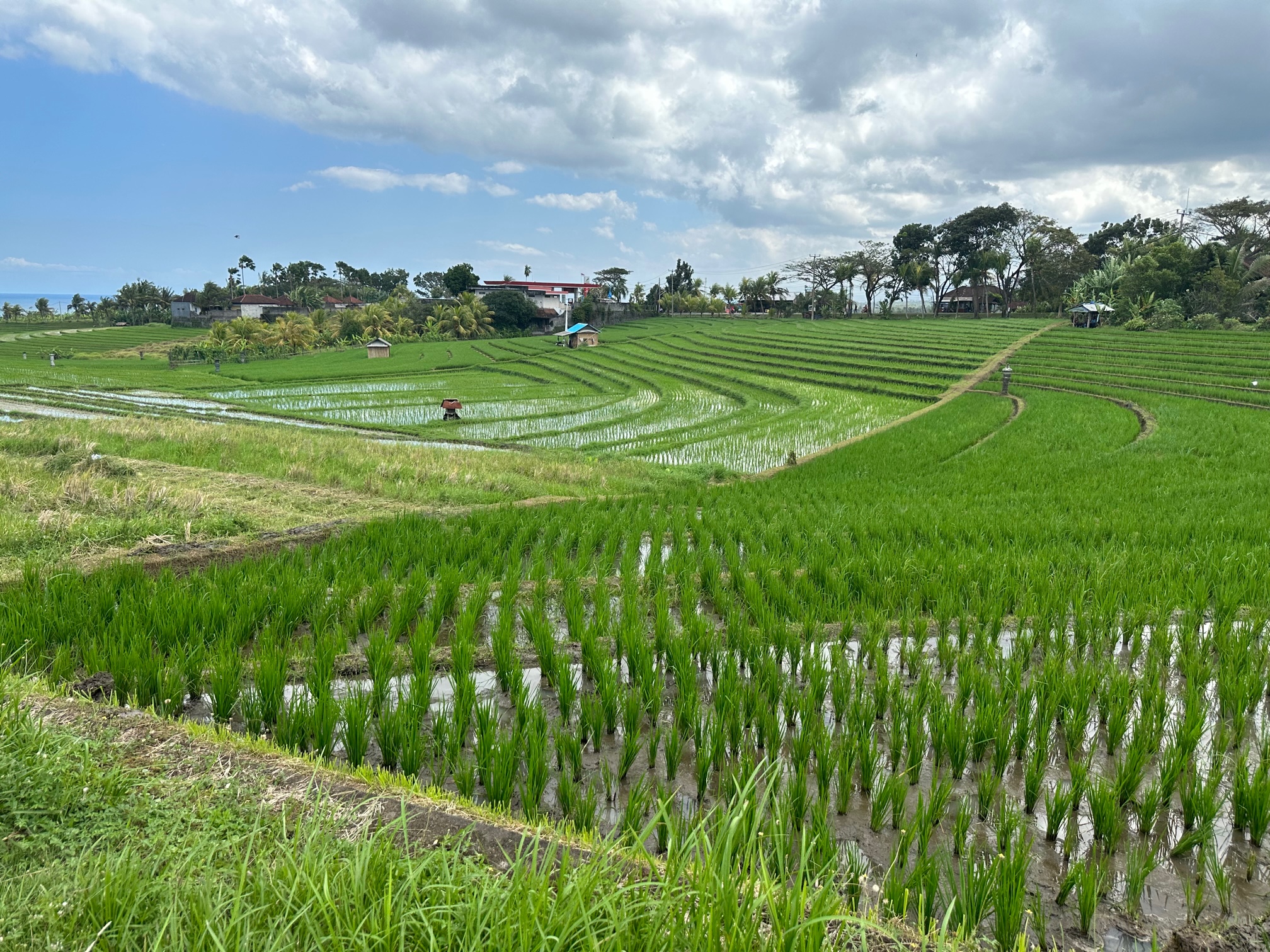 Les îles du bout du monde Les îles du bout du monde