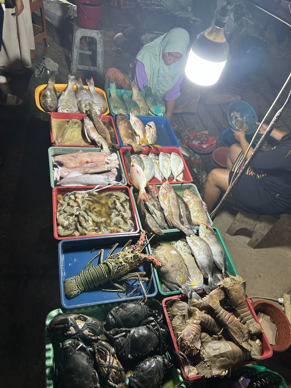 Journée bateau 🛥️🌊🪼🏖️🪸!! Journée bateau 🛥️🌊🪼🏖️🪸!!