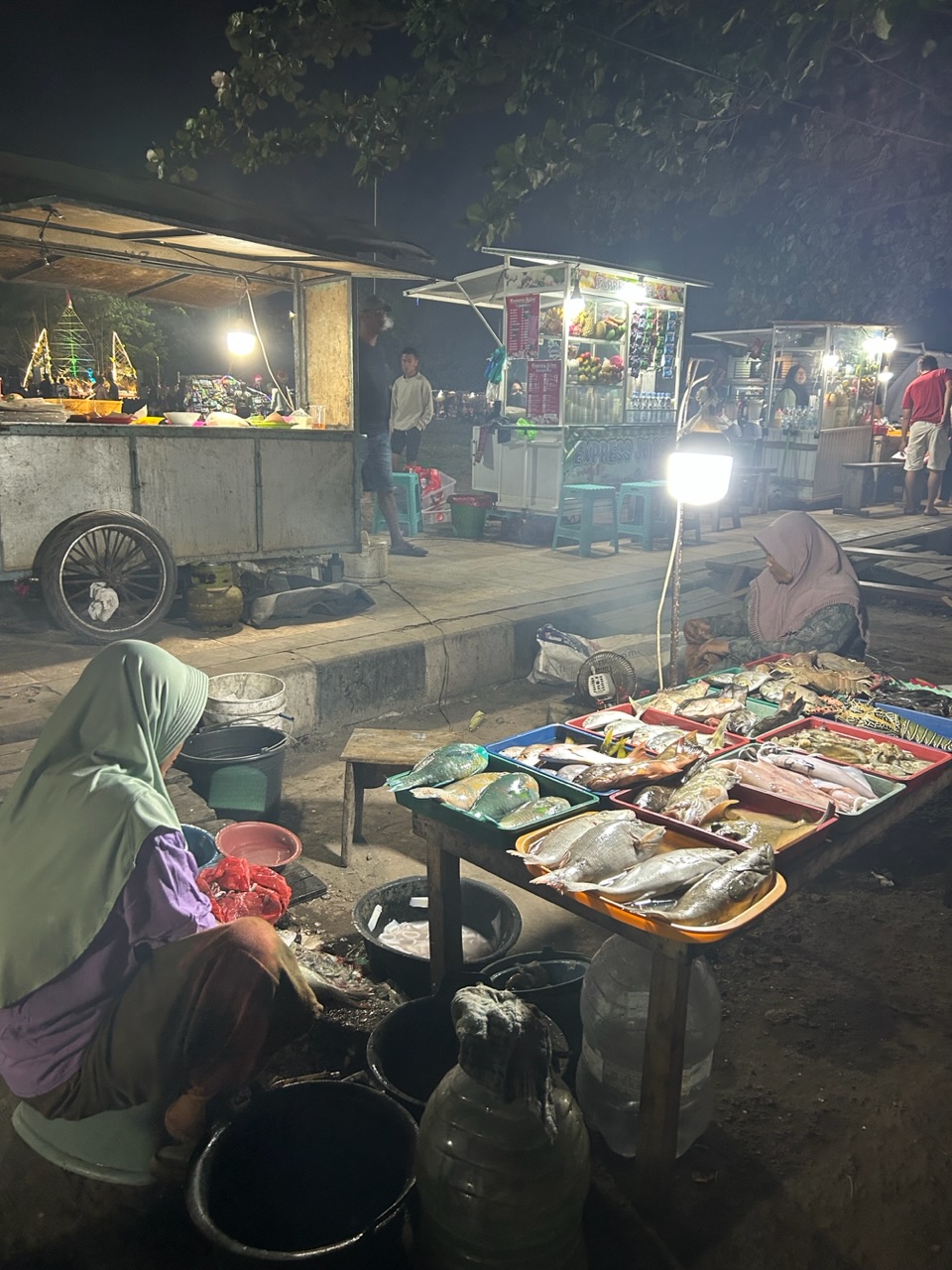 Journée bateau 🛥️🌊🪼🏖️🪸!! Journée bateau 🛥️🌊🪼🏖️🪸!!