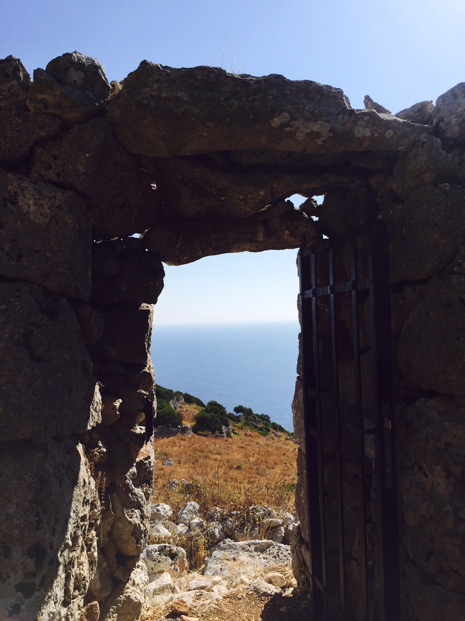 A l'ombre des oliviers A l'ombre des oliviers