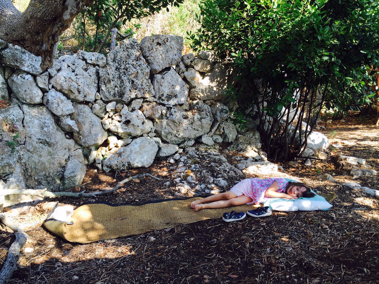 A l'ombre des oliviers A l'ombre des oliviers