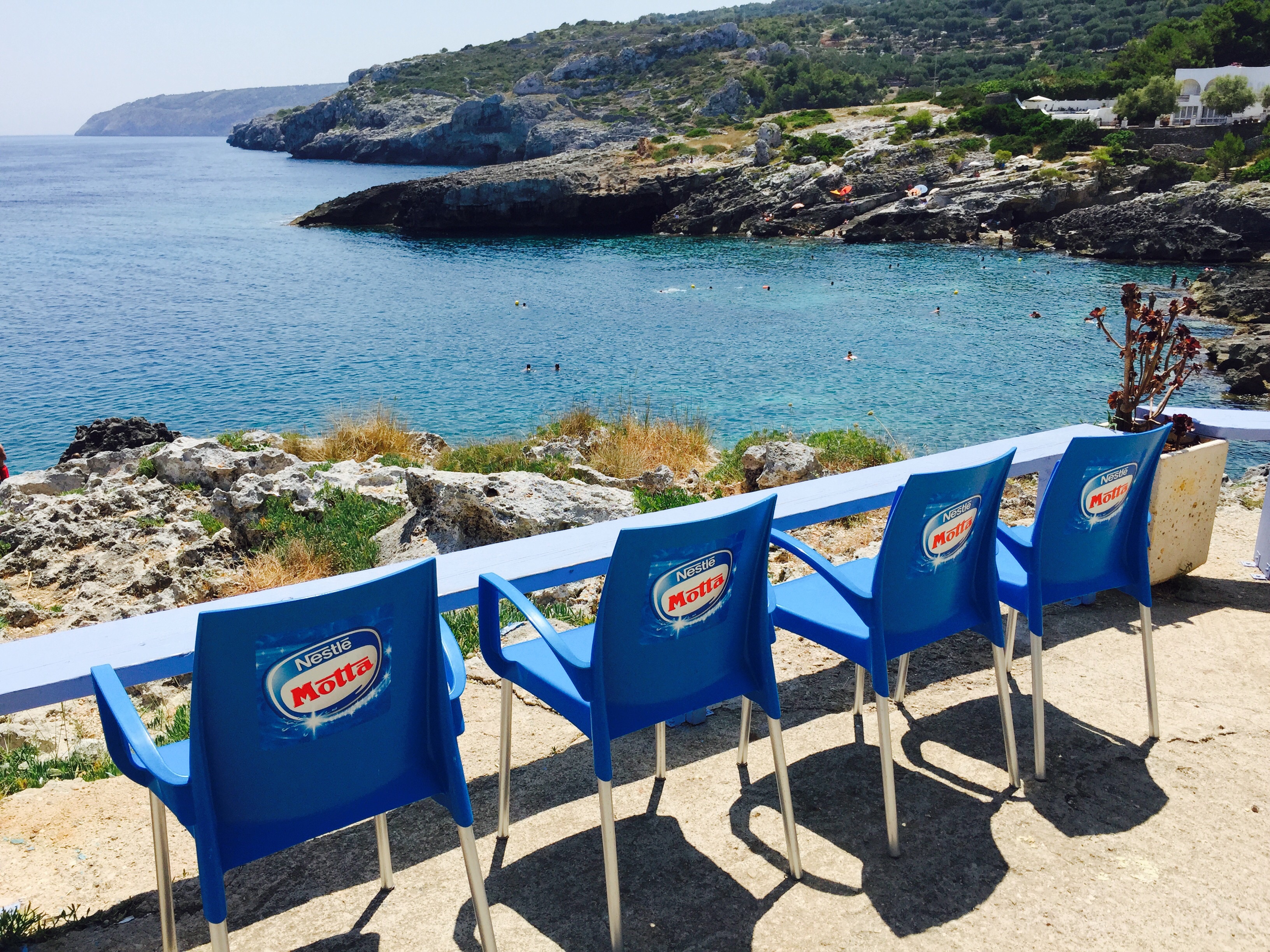 Sous les oliviers ... La mer  Sous les oliviers ... La mer