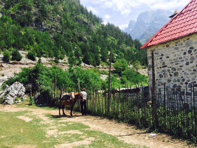 Les enfants des alpes Albanaises 