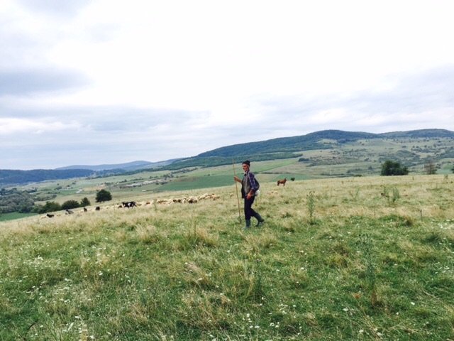 Surf dans la gadoue des forêts de Transylvanie