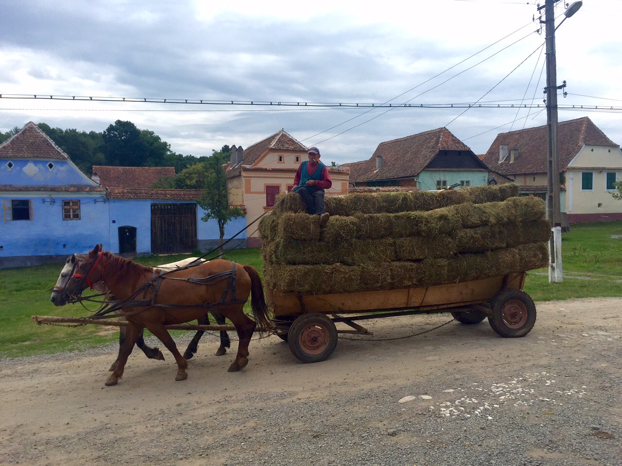 Viscri bijou de Transylvanie Viscri bijou de Transylvanie