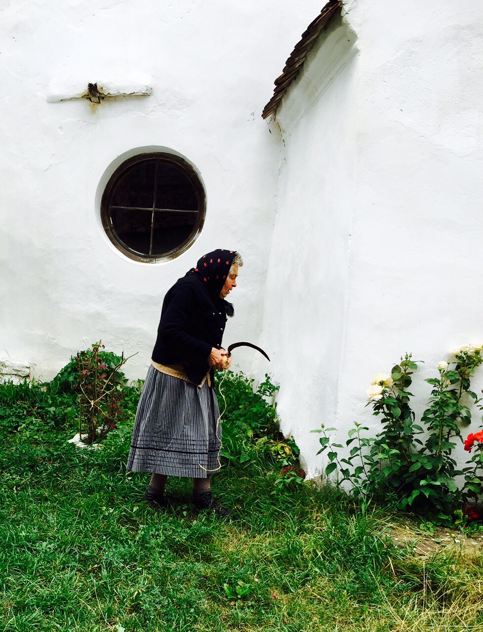 Viscri bijou de Transylvanie Viscri bijou de Transylvanie