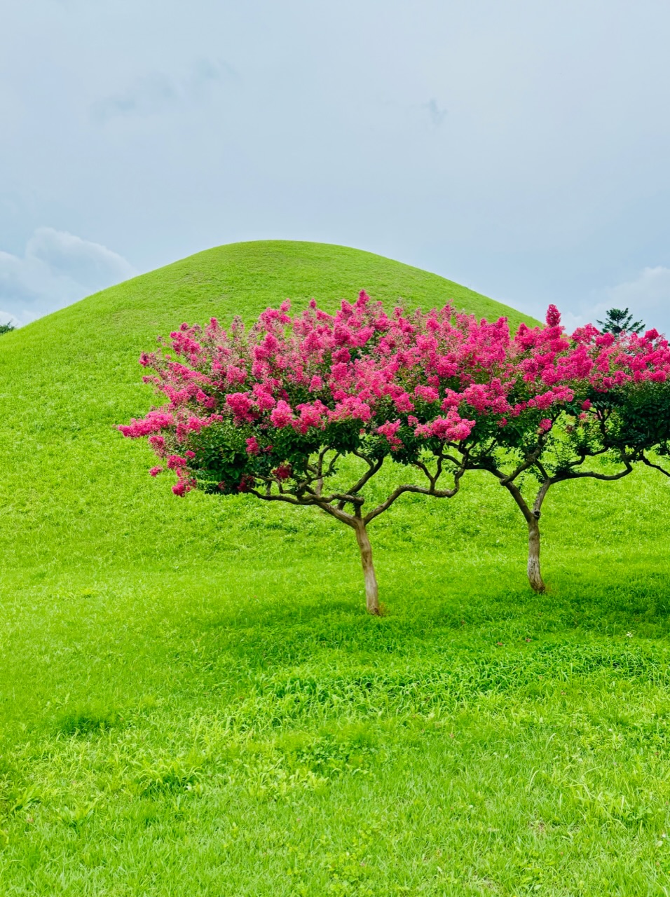 La Corée en quête de reconnaissance La Corée en quête de reconnaissance
