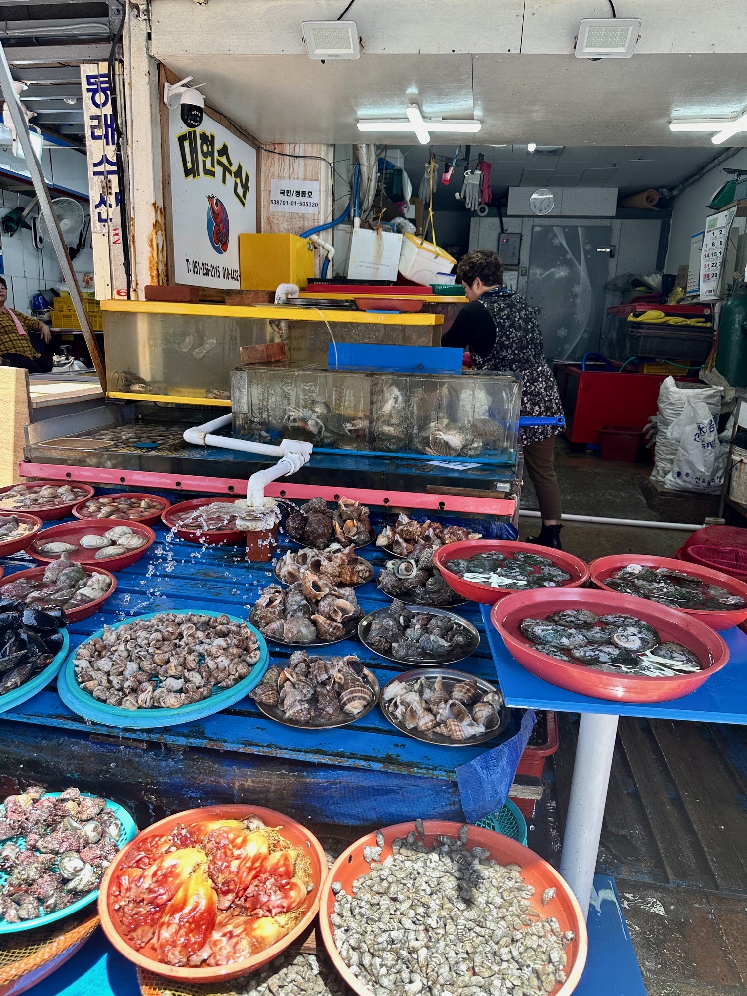 La Corée en quête de reconnaissance La Corée en quête de reconnaissance